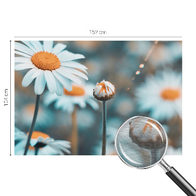 Fototapetas pagal užsakymą Kamille-delikatesė