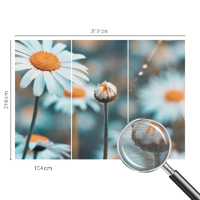 Fototapetas pagal užsakymą Kamille-delikatesė