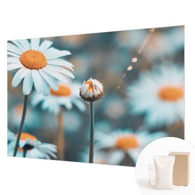 Fototapetas pagal užsakymą Kamille-delikatesė