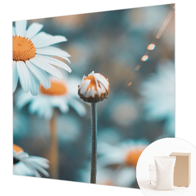 Fototapetas pagal užsakymą Kamille-delikatesė