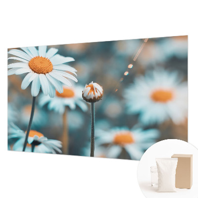 Fototapetas pagal užsakymą Kamille-delikatesė