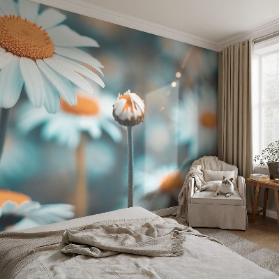 Fototapetas pagal užsakymą Kamille-delikatesė