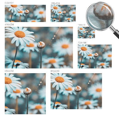 Fototapetas pagal užsakymą Kamille-delikatesė