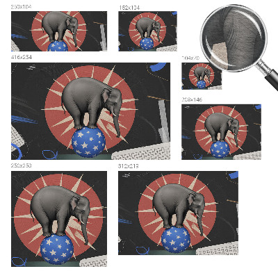 Flizelininis fototapetas Cirko elfantas