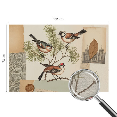 Fototapetas ant sienos Fuglecollage