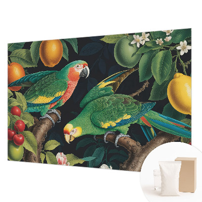 Fototapetas pagal matmenis Tropikų nuotykiai