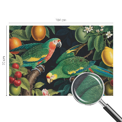 Fototapetas pagal matmenis Tropikų nuotykiai