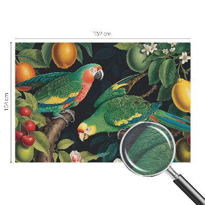 Fototapetas pagal matmenis Tropikų nuotykiai