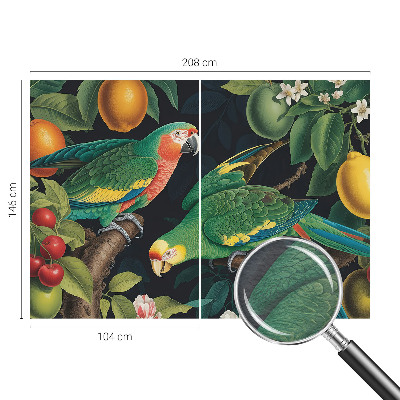 Fototapetas pagal matmenis Tropikų nuotykiai