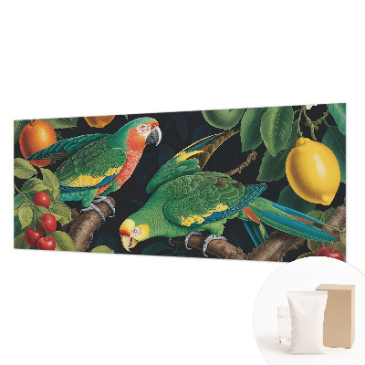 Fototapetas pagal matmenis Tropikų nuotykiai