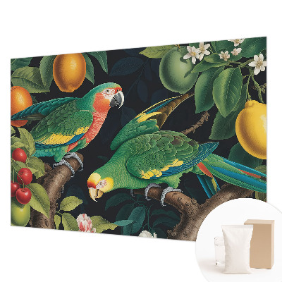 Fototapetas pagal matmenis Tropikų nuotykiai