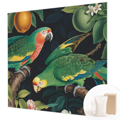 Fototapetas pagal matmenis Tropikų nuotykiai