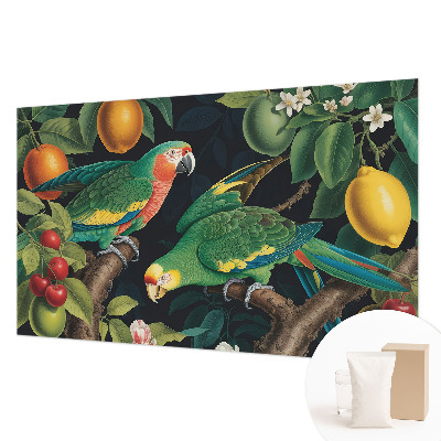 Fototapetas pagal matmenis Tropikų nuotykiai