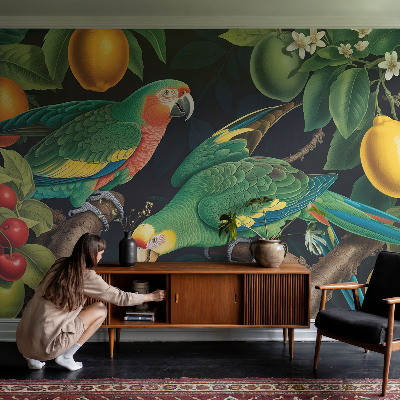 Fototapetas pagal matmenis Tropikų nuotykiai