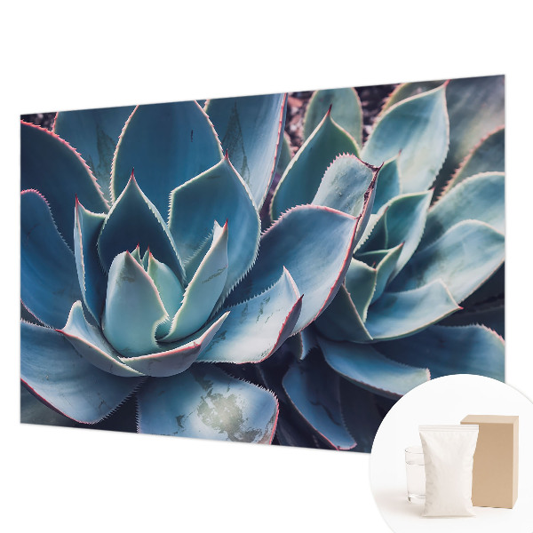 Fototapetas Žaliasis alavijas