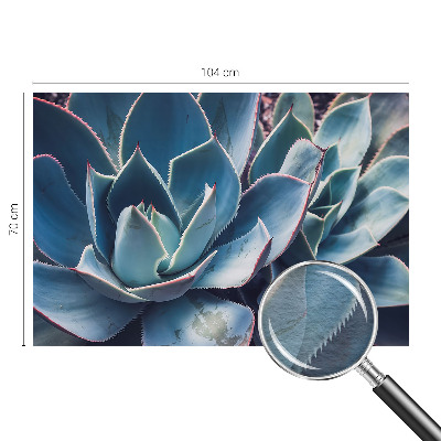 Fototapetas Žaliasis alavijas