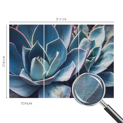 Fototapetas Žaliasis alavijas