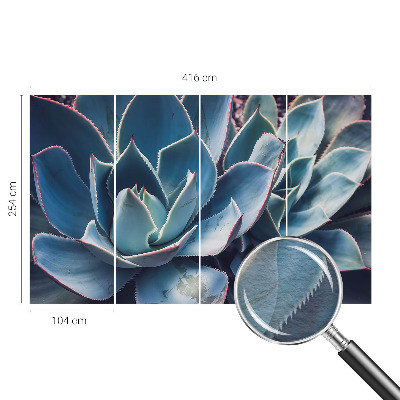 Fototapetas Žaliasis alavijas