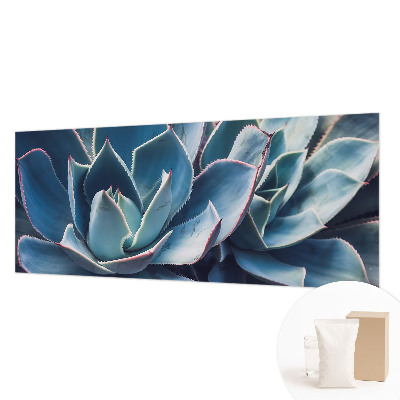 Fototapetas Žaliasis alavijas