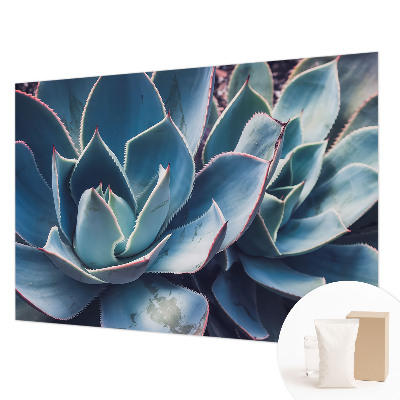 Fototapetas Žaliasis alavijas