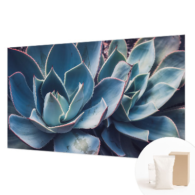 Fototapetas Žaliasis alavijas