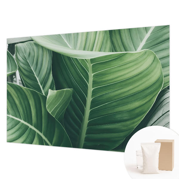 Fototapetas flizelino pagrindu Grøn fred