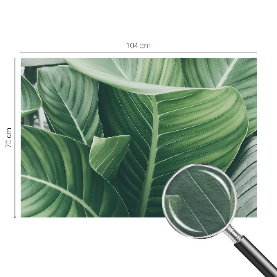 Fototapetas flizelino pagrindu Grøn fred