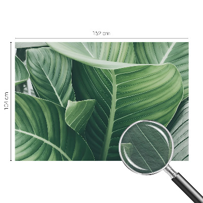 Fototapetas flizelino pagrindu Grøn fred