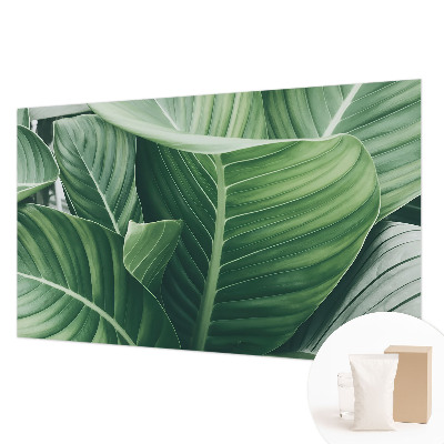 Fototapetas flizelino pagrindu Grøn fred