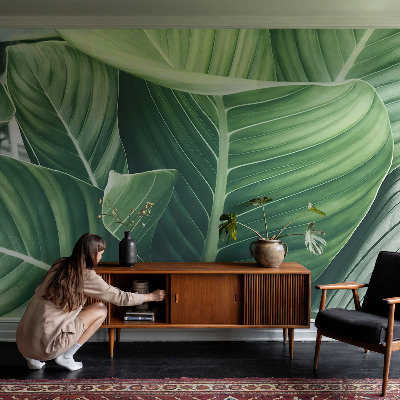 Fototapetas flizelino pagrindu Grøn fred