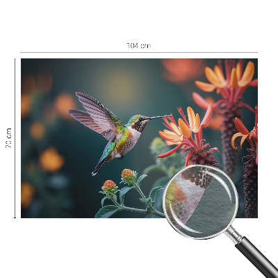 Flizelininis fototapetas Kolibris