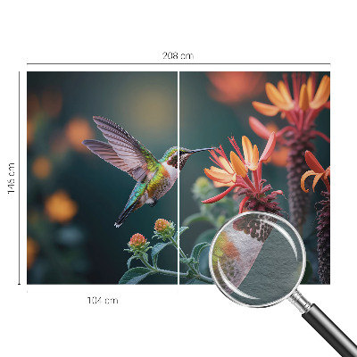 Flizelininis fototapetas su kolibriu