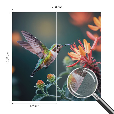 Flizelininis fototapetas su kolibriu