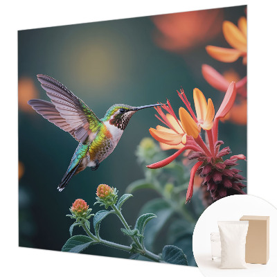 Flizelininis fototapetas Kolibris