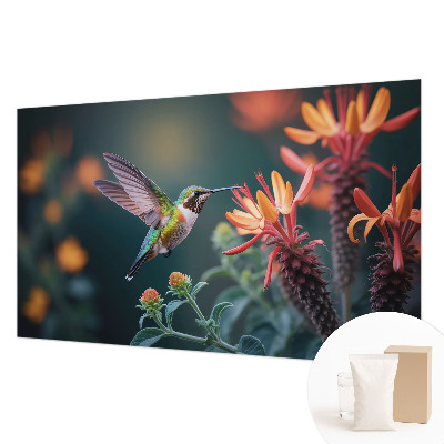 Flizelininis fototapetas Kolibris