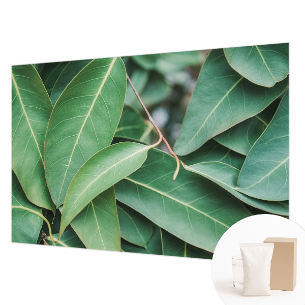 Aukštos kokybės fototapetas Grønne peilis