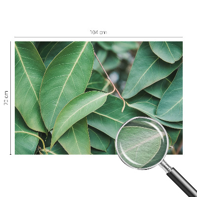 Aukštos kokybės fototapetas Grønne peilis