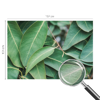 Aukštos kokybės fototapetas Grønne peilis