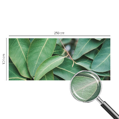 Aukštos kokybės fototapetas su žaliu peilio motyvu
