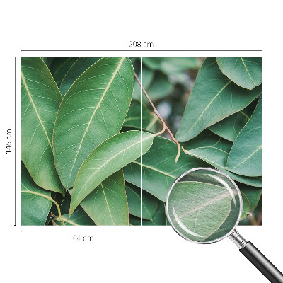 Aukštos kokybės fototapetas Grønne peilis