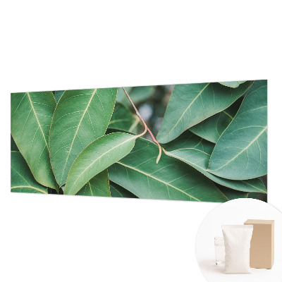 Aukštos kokybės fototapetas Grønne peilis