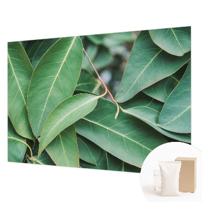 Aukštos kokybės fototapetas Grønne peilis