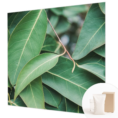 Aukštos kokybės fototapetas Grønne peilis