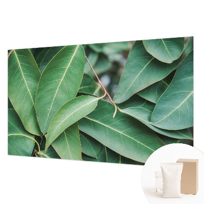 Aukštos kokybės fototapetas Grønne peilis