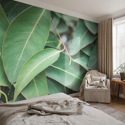 Aukštos kokybės fototapetas Grønne peilis