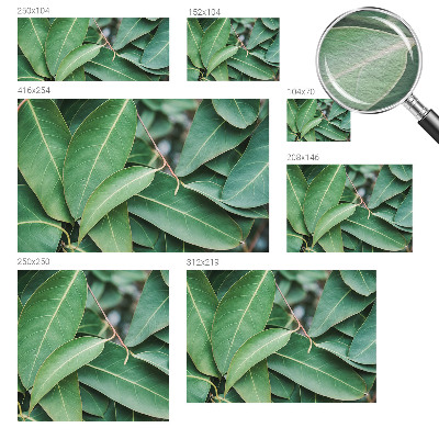Aukštos kokybės fototapetas su žaliu peilio motyvu