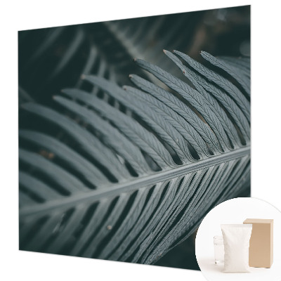 Fototapetas Grønt Blad