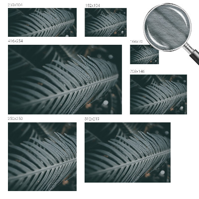 Fototapetas Grønt Blad