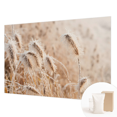 Flizelininis fototapetas Žiemos šalis