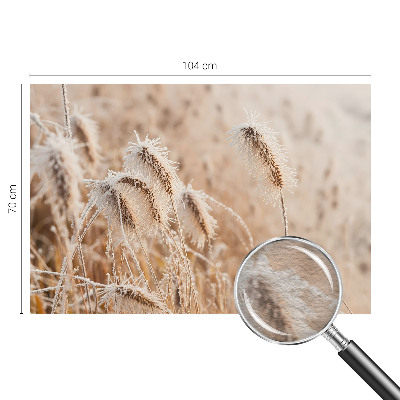 Flizelininis fototapetas Žiemos šalis